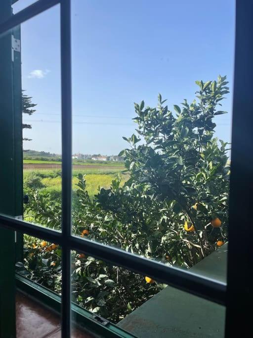La Macadamia Villa La Laguna  Buitenkant foto