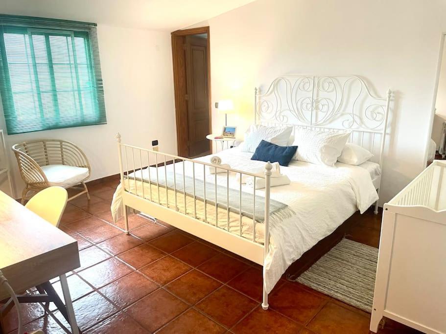 La Macadamia Villa La Laguna  Buitenkant foto